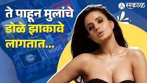 Ameesha Patel Slams Homosexual Content On Ott Platforms