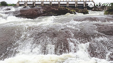 Gangapur dam