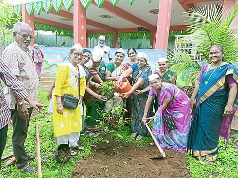 मॉं नर्मदा सेवा संघाच्या वतीने
शिवतेज नगरला वृक्षारोपण