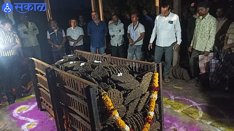 relatives decided to cremate using cow dung nashik news