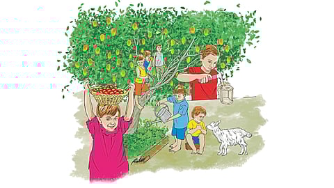 Natural shares of education