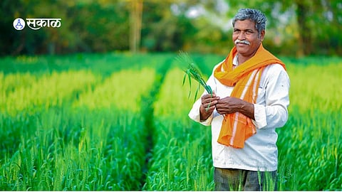 Maharashtra Agriculture Day