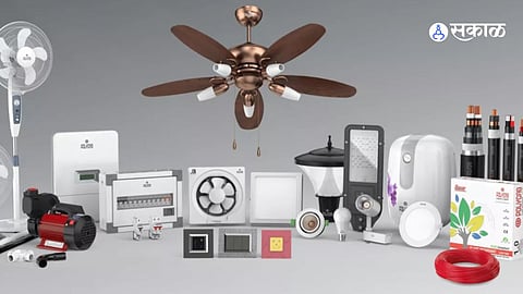 Polycab Multibagger Stock