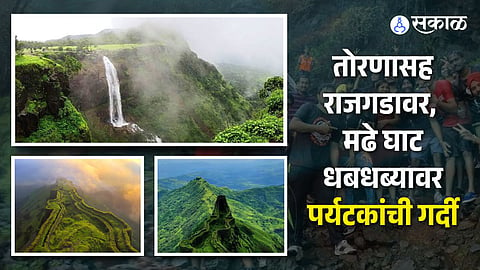 Waterfall : हिरवेगार डोंगर, घाटमाथ्यावरचे धुके अन् अंगाला झोंबणारा वारा; गडांवर पर्यटकांची गर्दी 