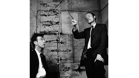 discovery of dna structure and function watson and crick  X Ray Diffraction technology