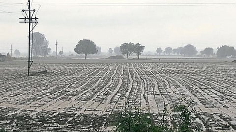 nanded rain update rain forecast farmer agriculture weather imd