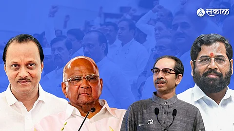 sakal survey