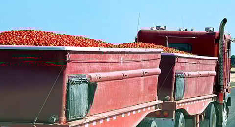 Tomato Truck