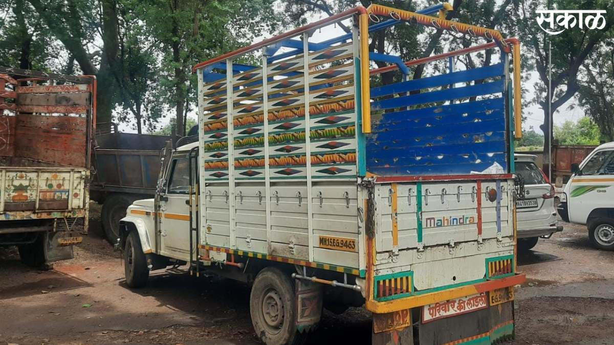 Pickup carrying beef