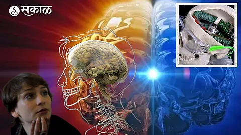 Human Brain