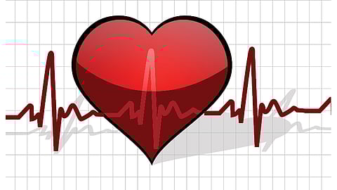 Heart