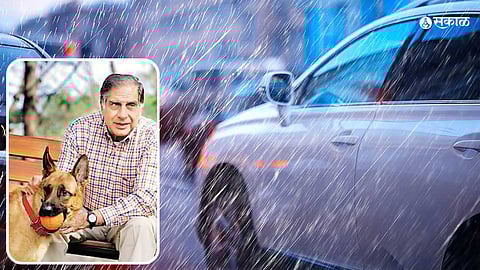 Ratan Tata Monsoon Tips