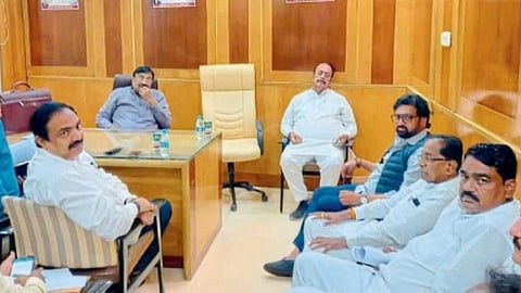 Leopard Sterilization