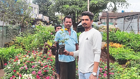 Customers buying fruit, flower plants at the nursery after the arrival of rains.
