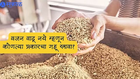 Good wheat variety for weight loss