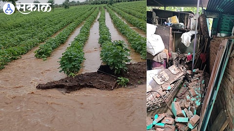 Rainwater accumulated in cotton fields due to heavy rainfall and
Damage due to house collapse due to heavy rain
