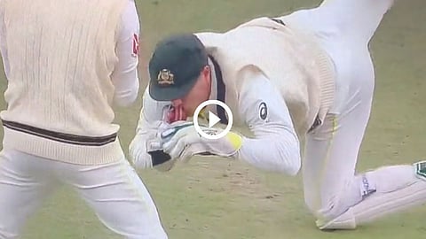 Ashes Series Alex Carey Smooch Catch