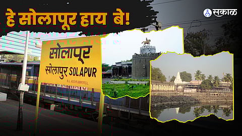 Highest Average Salary