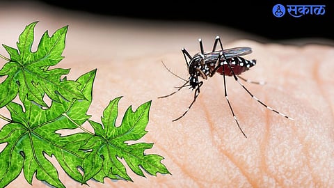 The Platelet Booster