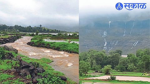 Due to continuous heavy rains in Tringalwadi (Igatpuri) area, water has accumulated in various areas. Such water streams are falling from the mountains in Chinchalekhaire area