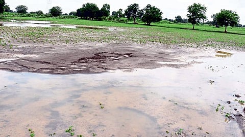 Nanded