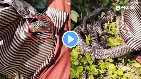 VSnake Found Inside Shirt viral Video