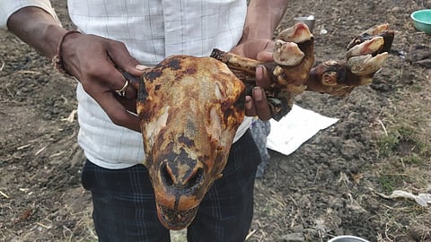 Trimboli Yatra Rajwada Police Station