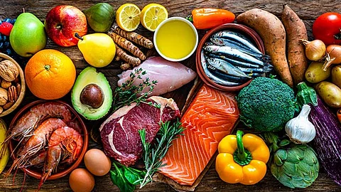 Diet Human life