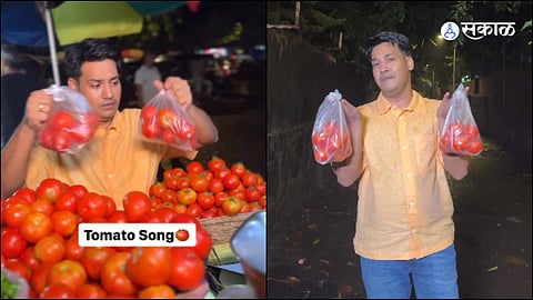 Tomato Song Video