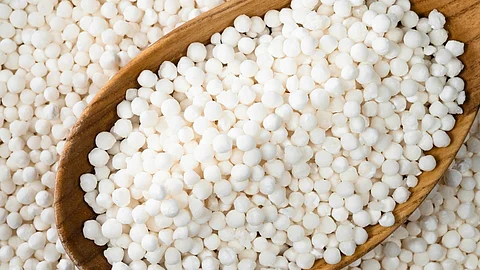 Sabudana