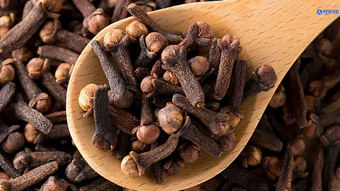 Clove Eating Benefits