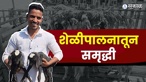 शेळीपालक अमोल शिरकर