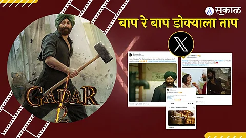 Gadar 2 Box Office Collection Day 8:
Gadar 2 box office day 8 collection Directed by Anil Sharma Sunny Deol and Ameesha Patel's film enters ₹300 crore club
