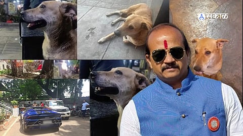 MNS Vansant More will hold condolence meeting at Goodluck Chowk pune for dog named Don killed by lamborghini car