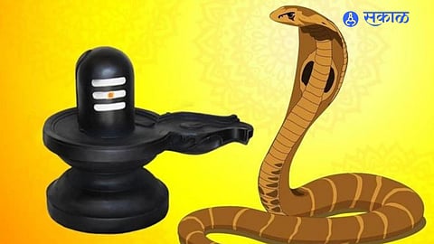 Nag panchami 2023
