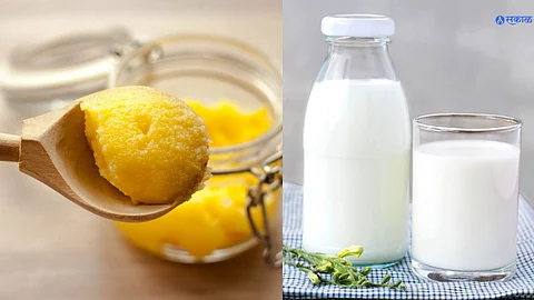 ghee milk benefits