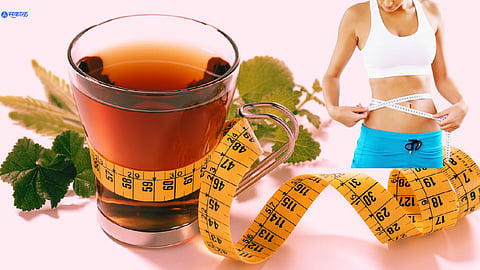 Weight Loss Tea News