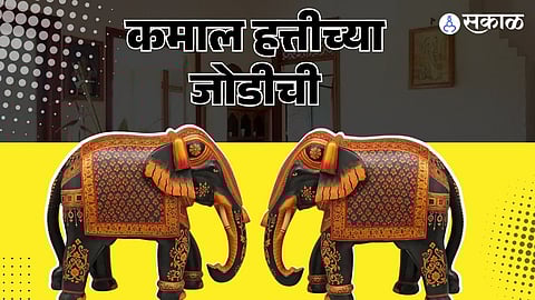 हत्तीच्या जोडीची कमाल