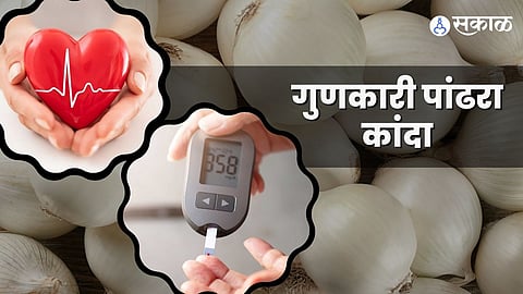 पांढऱ्या कांद्याचे फायदे