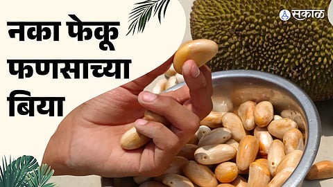 फायदे फणसाच्या बियांचे