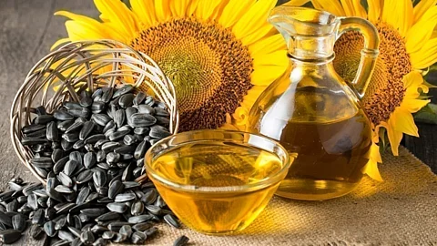 Sunflower Oil : स्वयंपाकात सूर्यफुलाचे तेल वापरल्याने आरोग्याला मिळतात ‘हे’ जबरदस्त फायदे