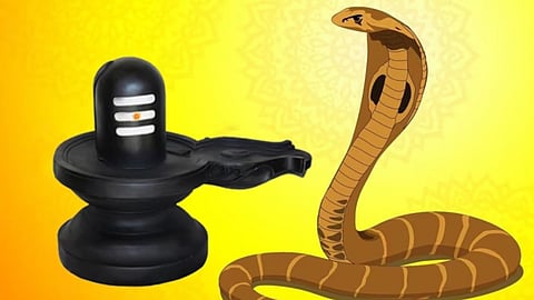 Nag Panchami Puja Mantra