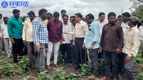 Minister Girish Mahajan assures Damage farmers will get help jalgaon news