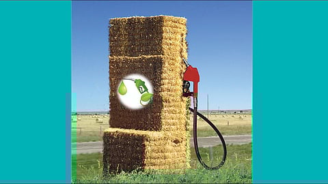 biofuels