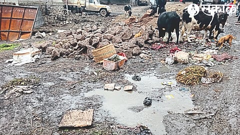 Scattered filth and rain-soaked water puddles near Ghasbazar School.