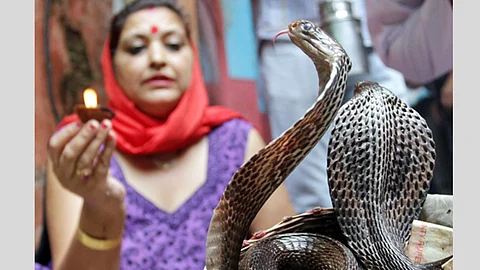 Shravan Nag Panchami