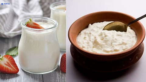 Yogurt and Curd Difference