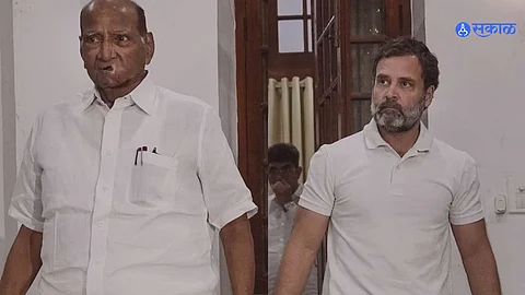 Rahul Gandhi and Sharad Pawar