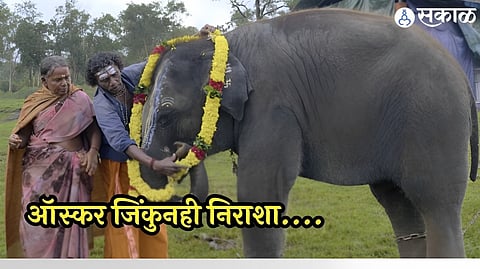 ‘The Elephant Whisperers’ fame Bomman And Bellie Allege Exploitation against Makers Of Oscar-Winning Documentary