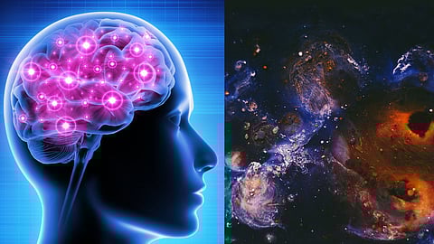 similarity between Milky Way and neurons in human brain